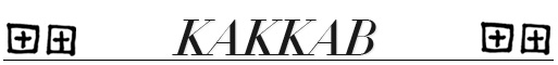 Ksubi Kakkab eyeglasses