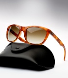 Ray Ban RB 4154