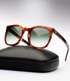 Cutler and Gross 0984 - Dark Turtle