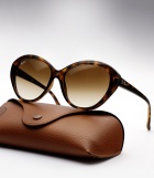 Ray Ban RB 4163