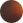 AM Eyewear Alex - Tortoise