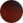 AM Eyewear Merridy - Red Tortoise (EYE)