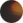 Garrett Leight Ashland - Spotted Tortoise (Eye)