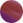 House of Harlow 1960 Daisy - Violet