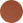 Garrett Leight Grayson - Matte Honey Amber Tortoise